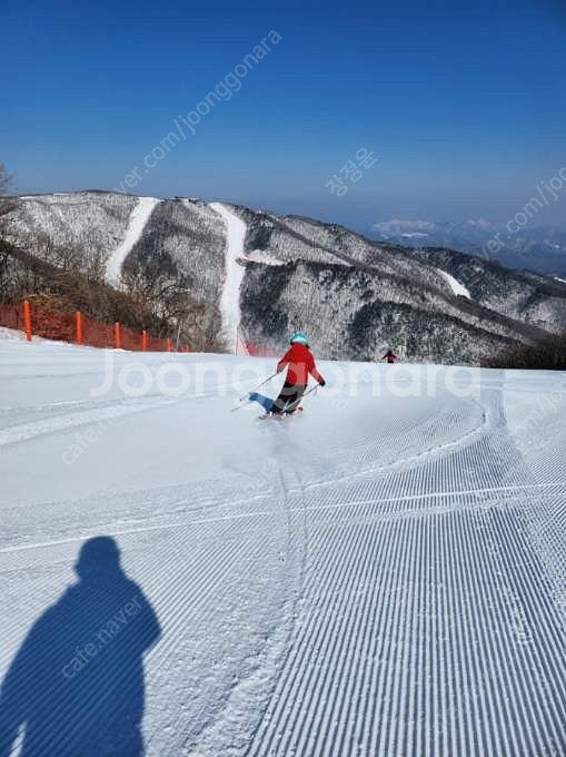 하이원 스키/스노우보드 강습(주니어 기술등급 가능) 유아강습.초급.중급.상급강습.레벨준비반--4
